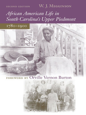 cover image of African American Life in South Carolina's Upper Piedmont, 1780-1900